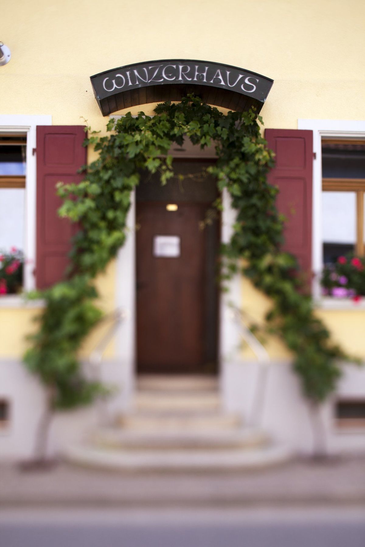 Schwarzer Adler Vogtsburg Restaurant photo