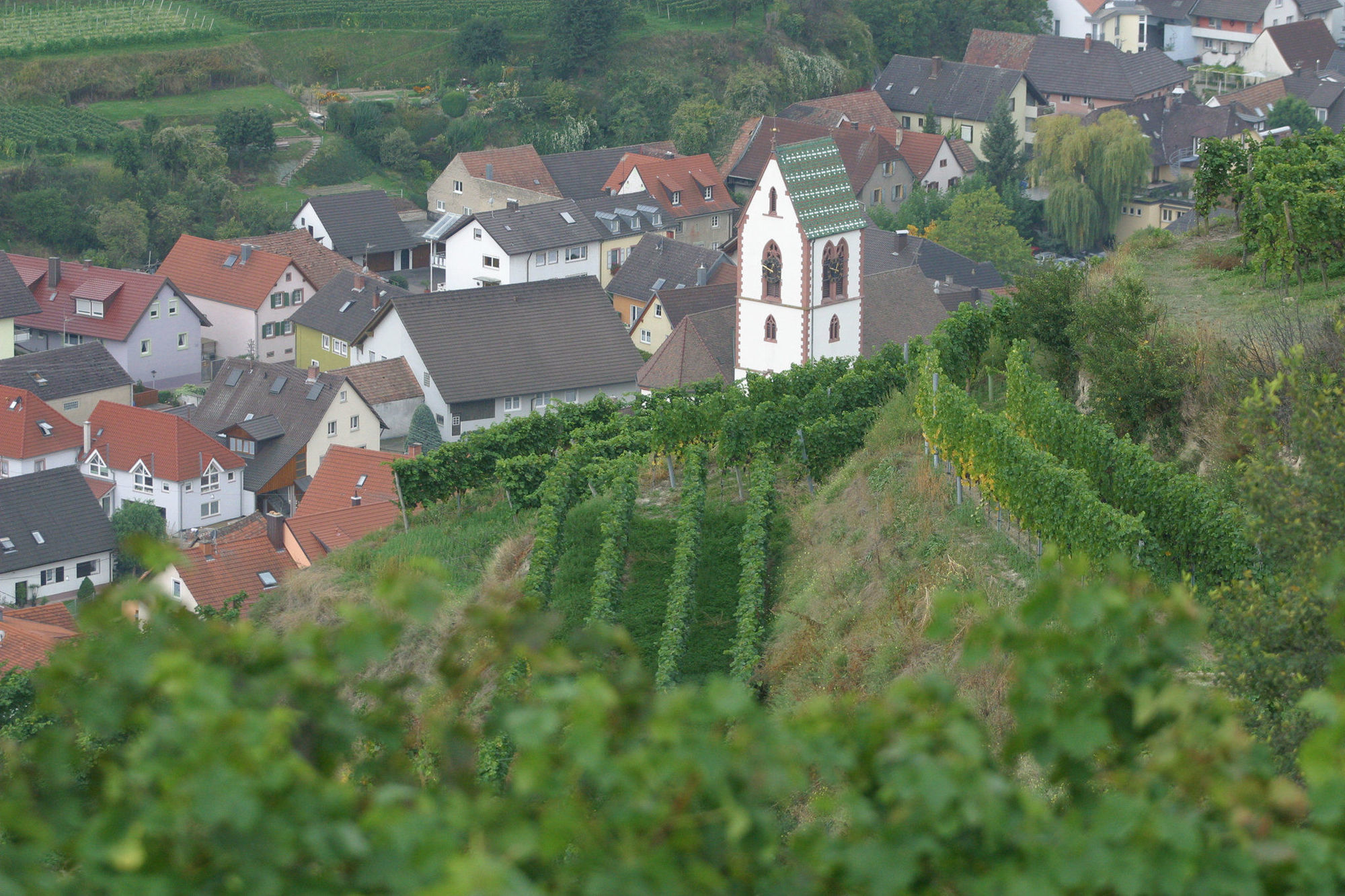 Schwarzer Adler Vogtsburg Exterior photo